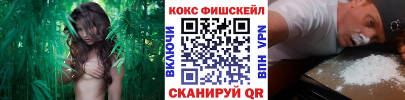 КОКАИН VHQ цена это Telegram Пучеж