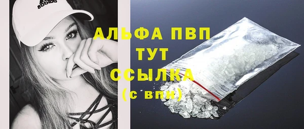 метадон Новодвинск