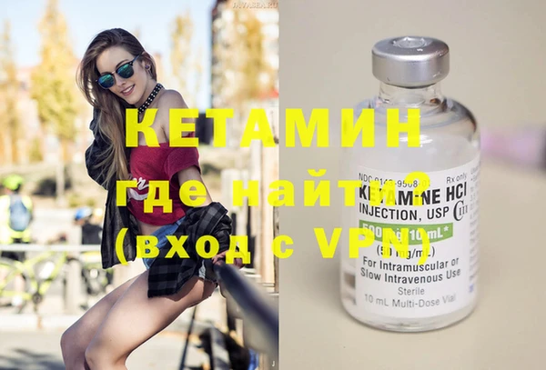 шишки Абаза